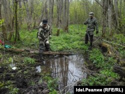 Вид "санитарного захоронения" до начала раскопа