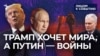 Трамп хочет мира, а Путин - войны?