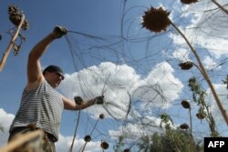 Украинский солдат устанавливает проволочные заграждения на окраине Мариуполя