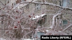 Обледеневшие деревья падают на линии электропередач, машины и людей