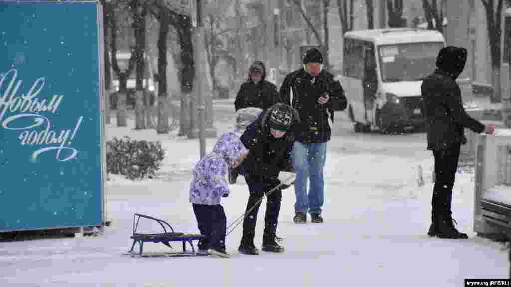 Испытание санок на первом снегу