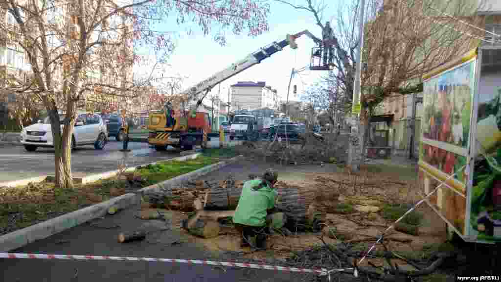 Коммунальные службы Севастополя устраняют последствия урагана