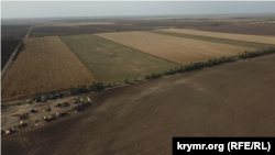 Поля в Херсонской области. Украина, архивное фото