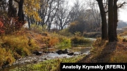 Солнечный ноябрь в Альминской долине (фотогалерея)